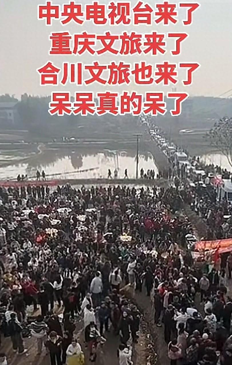 央视车被堵外面，人民日报下场，白衬衫守护，呆呆成为历史第一人