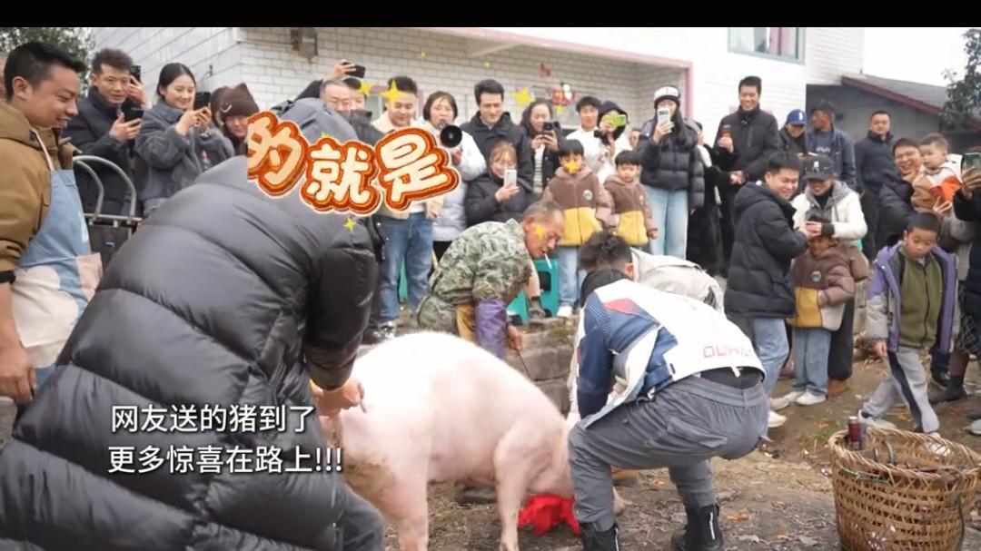 央视车被堵外面，人民日报下场，白衬衫守护，呆呆成为历史第一人