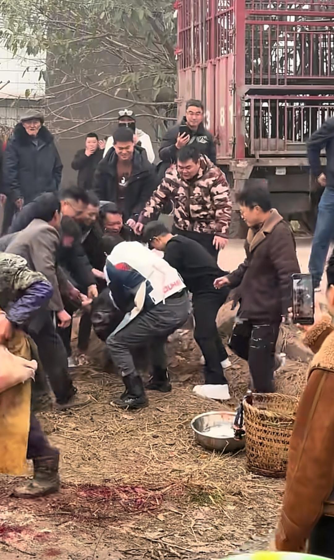 央视车被堵外面，人民日报下场，白衬衫守护，呆呆成为历史第一人