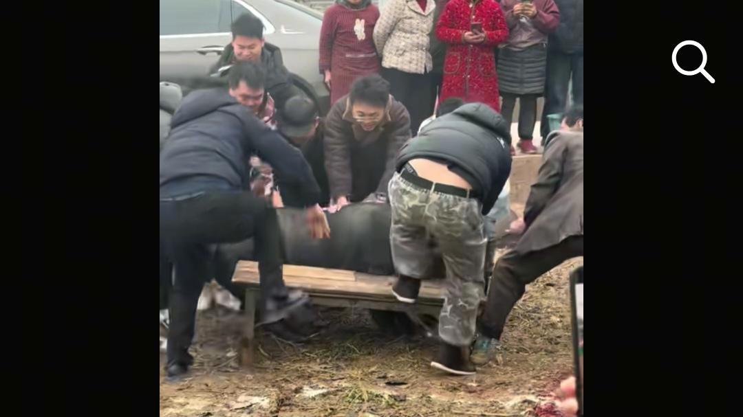 央视车被堵外面，人民日报下场，白衬衫守护，呆呆成为历史第一人