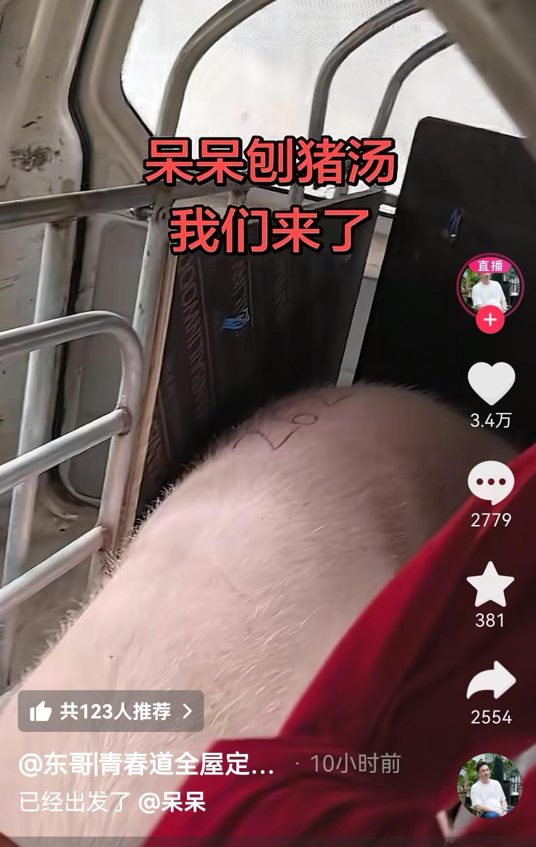 央视车被堵外面，人民日报下场，白衬衫守护，呆呆成为历史第一人